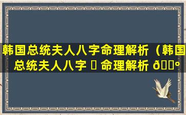 韩国总统夫人八字命理解析（韩国总统夫人八字 ☘ 命理解析 🐺 图）